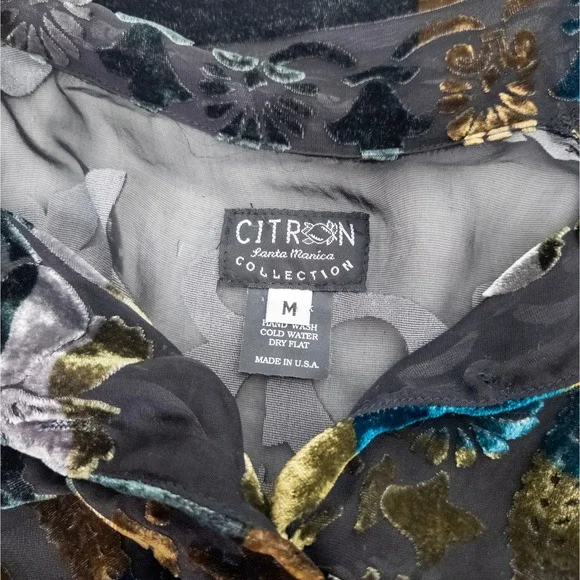 Citronβ Santa Monica Velvet Burnout Silk Blouse - Jewel-Tone Artwear - Picture 6 of 7